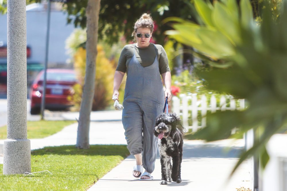 Kelly Clarkson Spotted for 1st Time Since Split From Brandon Blackstock
