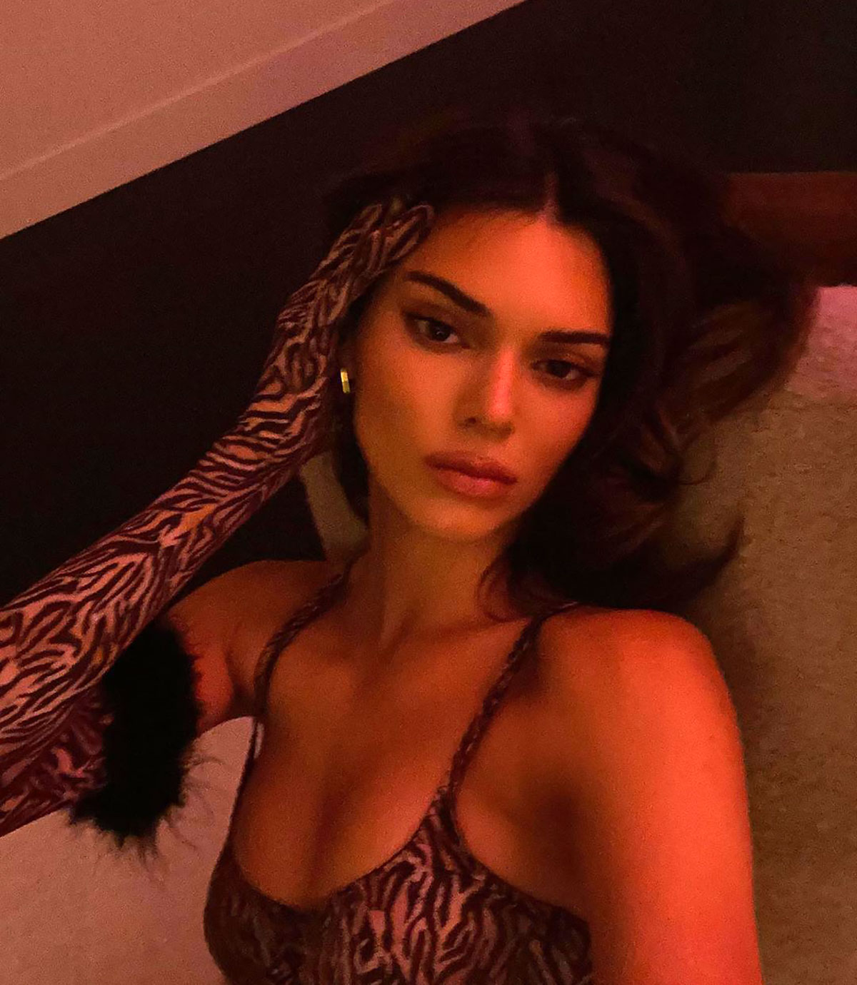 Kendall Jenner Wears Kylie Makeup Collab And Not Much Else