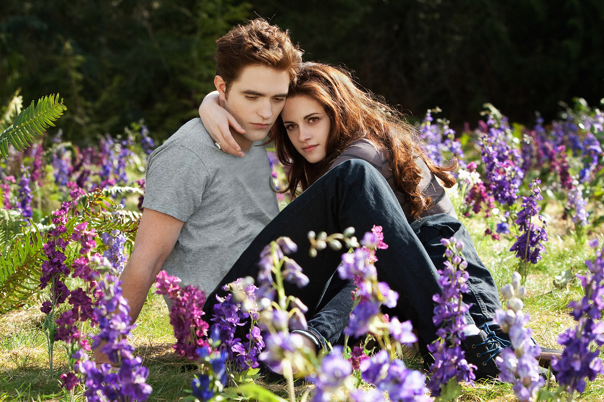 Twilights Cullen Family Where Are They Now? image