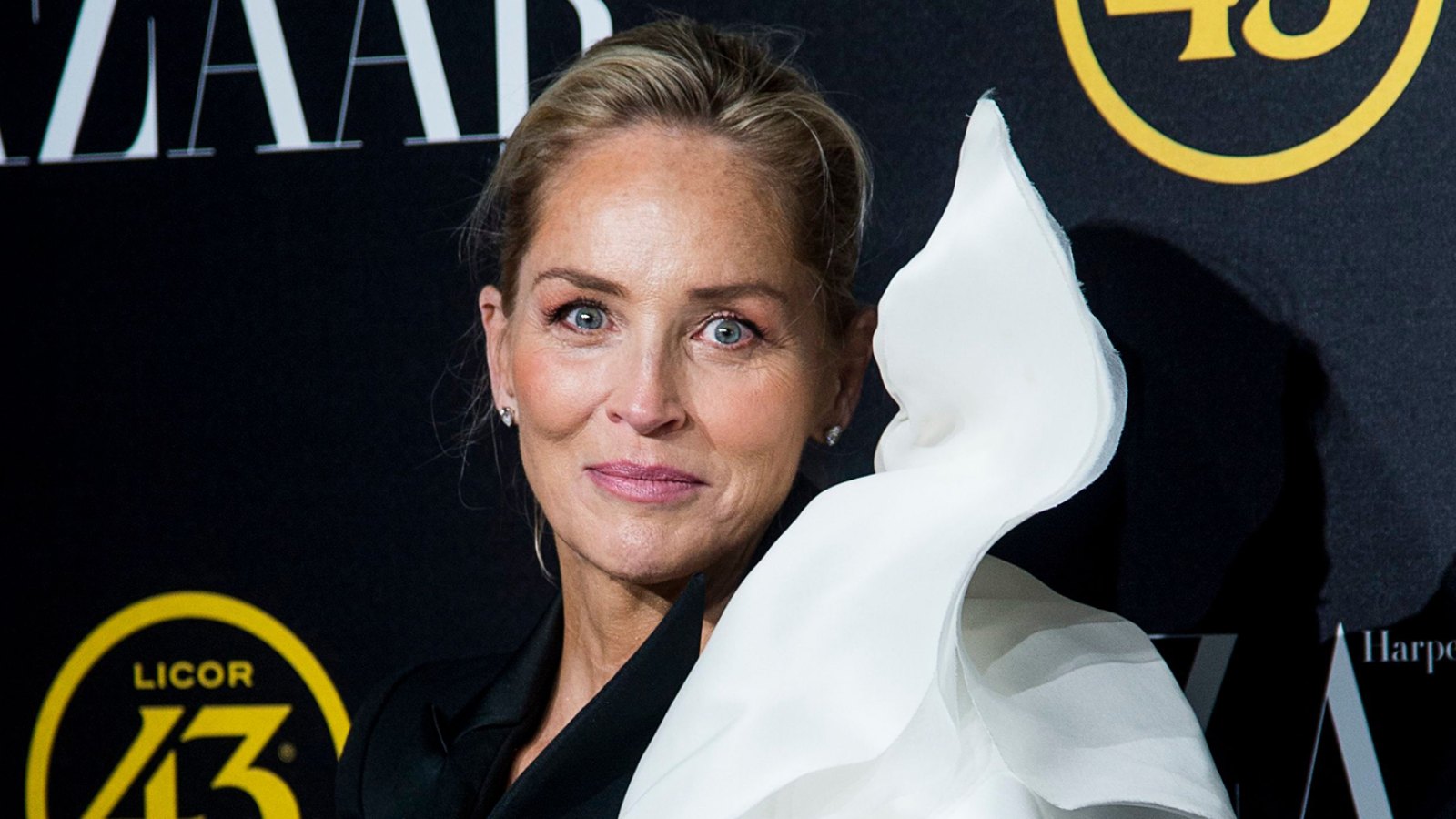 Sharon Stone Was Once Struck by Lightning and Thrown Across Her Kitchen