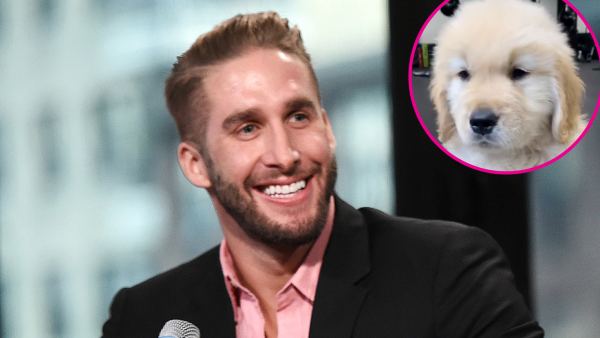 Shawn Booth Adopts Adorable New Puppy Named Walter p