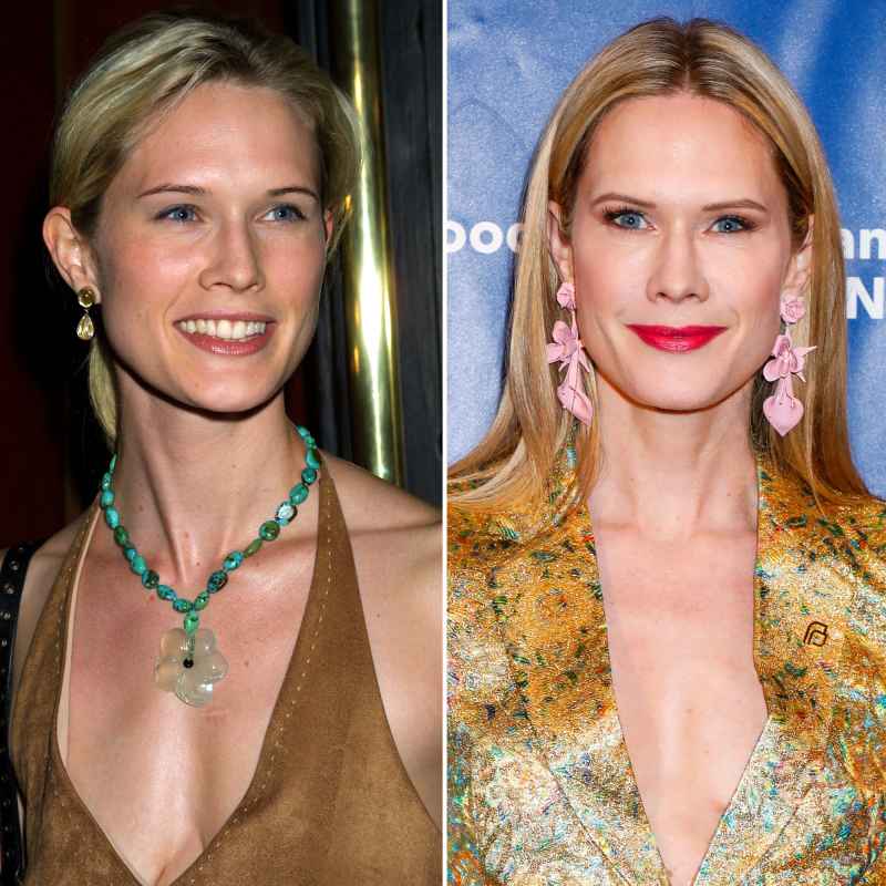 Stephanie March (Alexandra Cabot) Stars Who Left Law & Order SVU Where Are They Now