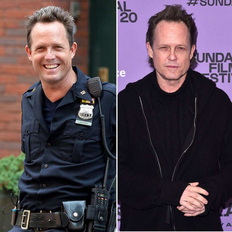 Dean Winters (Brian Cassidy) Stars Who Left Law & Order SVU Where Are They Now