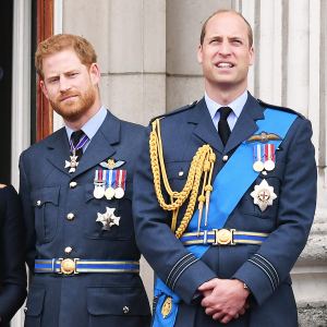Where Prince William and Prince Harry Relationship Stands Today