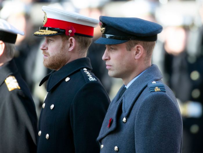 New Book About Prince William and Prince Harry's Rift Reveals 'Painful' Details