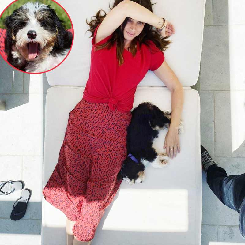 Ana de Armas and Salsa Celebrities Who Have Pets With Food-Inspired Names