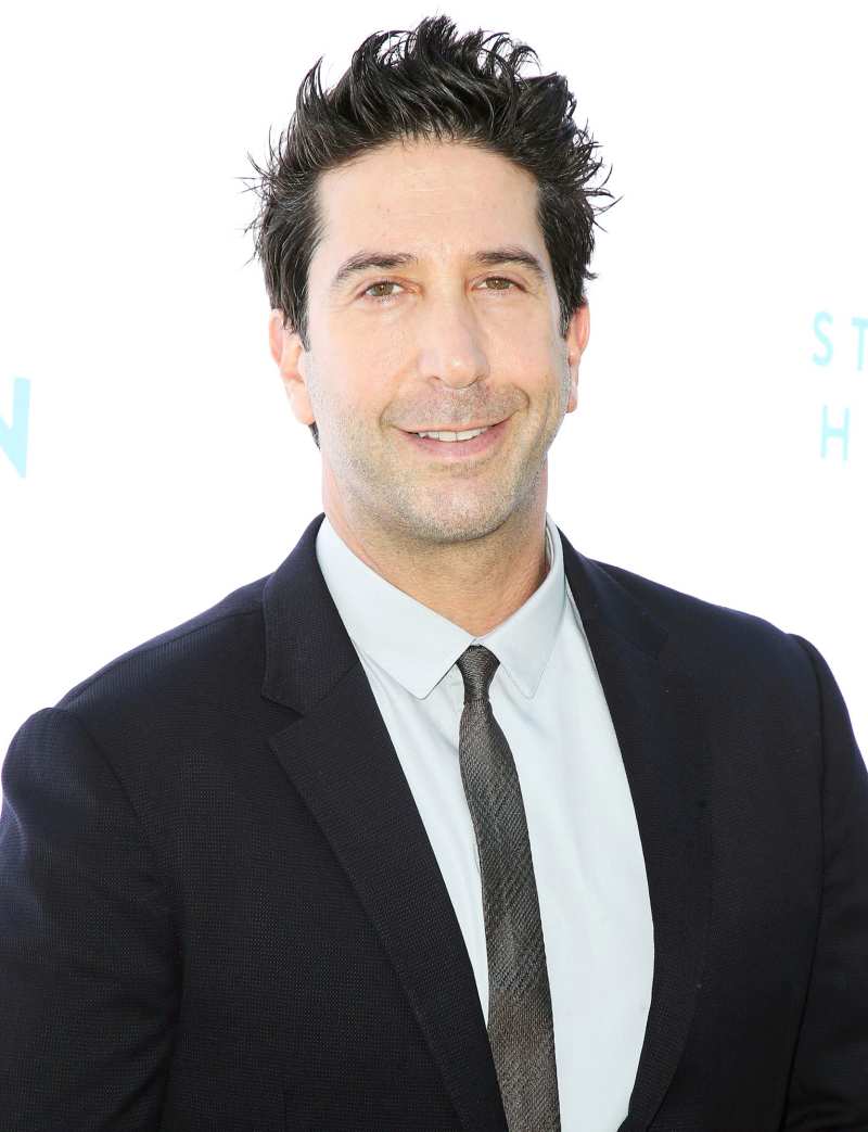David Schwimmer Everything the Friends Cast Has Said About Upcoming Reunion