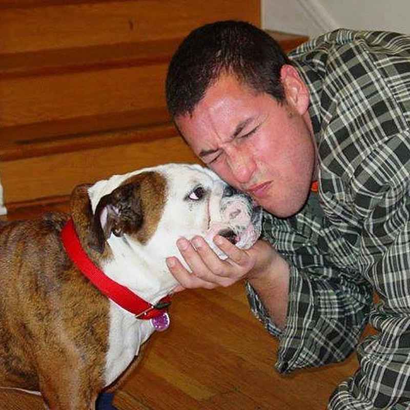 Adam Sandler and Meatball Celebrities Who Have Pets With Food-Inspired Names