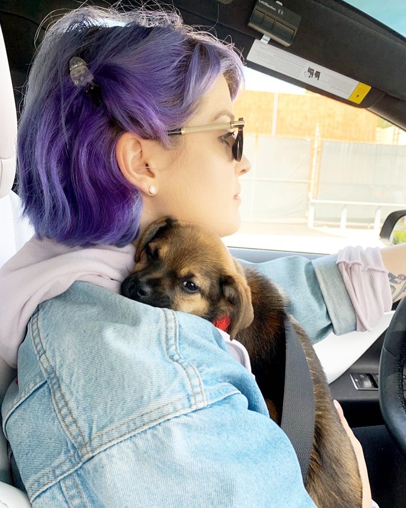 Kelly Osbourne and Out Celebrities who have pets with food-inspired names