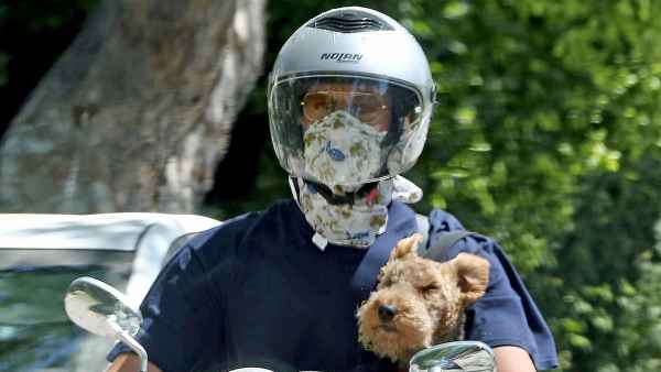 Armie Hammer Rides Vespa With Dog Following Elizabeth Chambers Split