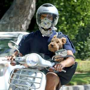 Armie Hammer Rides Vespa With Dog Following Elizabeth Chambers Split