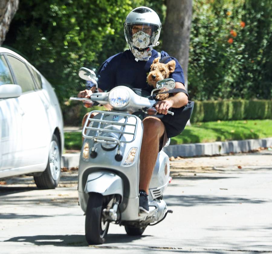 Armie Hammer Rides Vespa With Dog Following Elizabeth Chambers Split