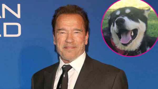 Arnold Schwarzenegger New Dog Dutch Named After Predator Character