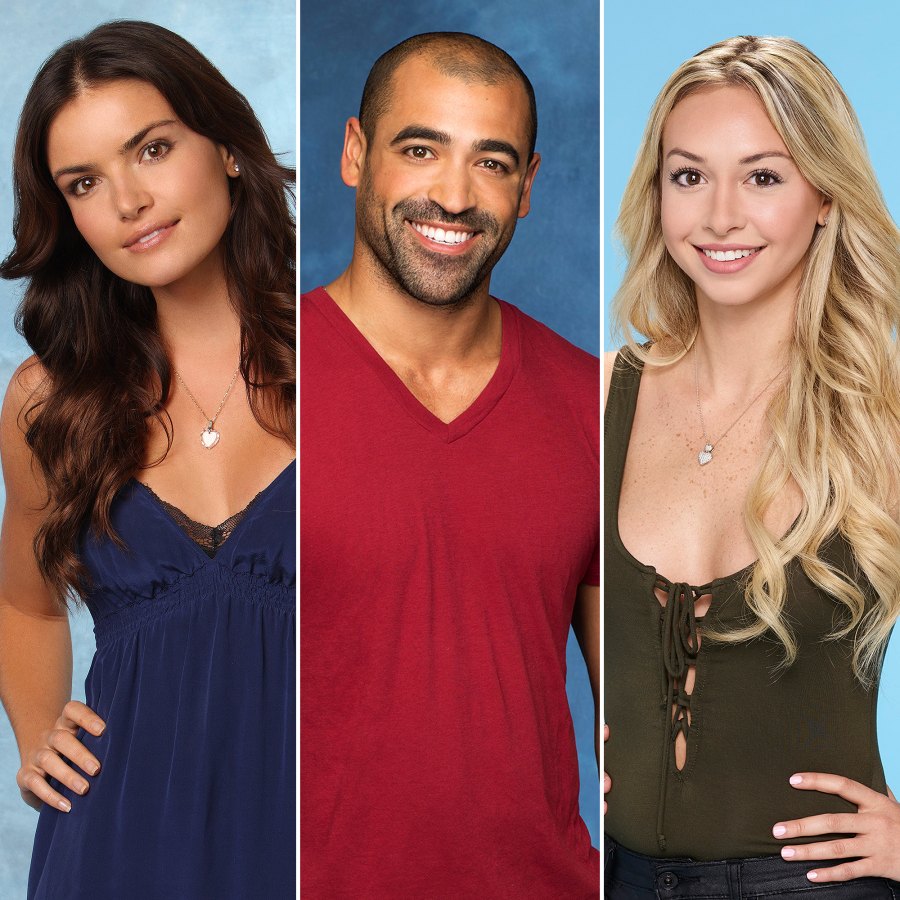 Bachelor and Bachelorette Villains: Where Are They Now?
