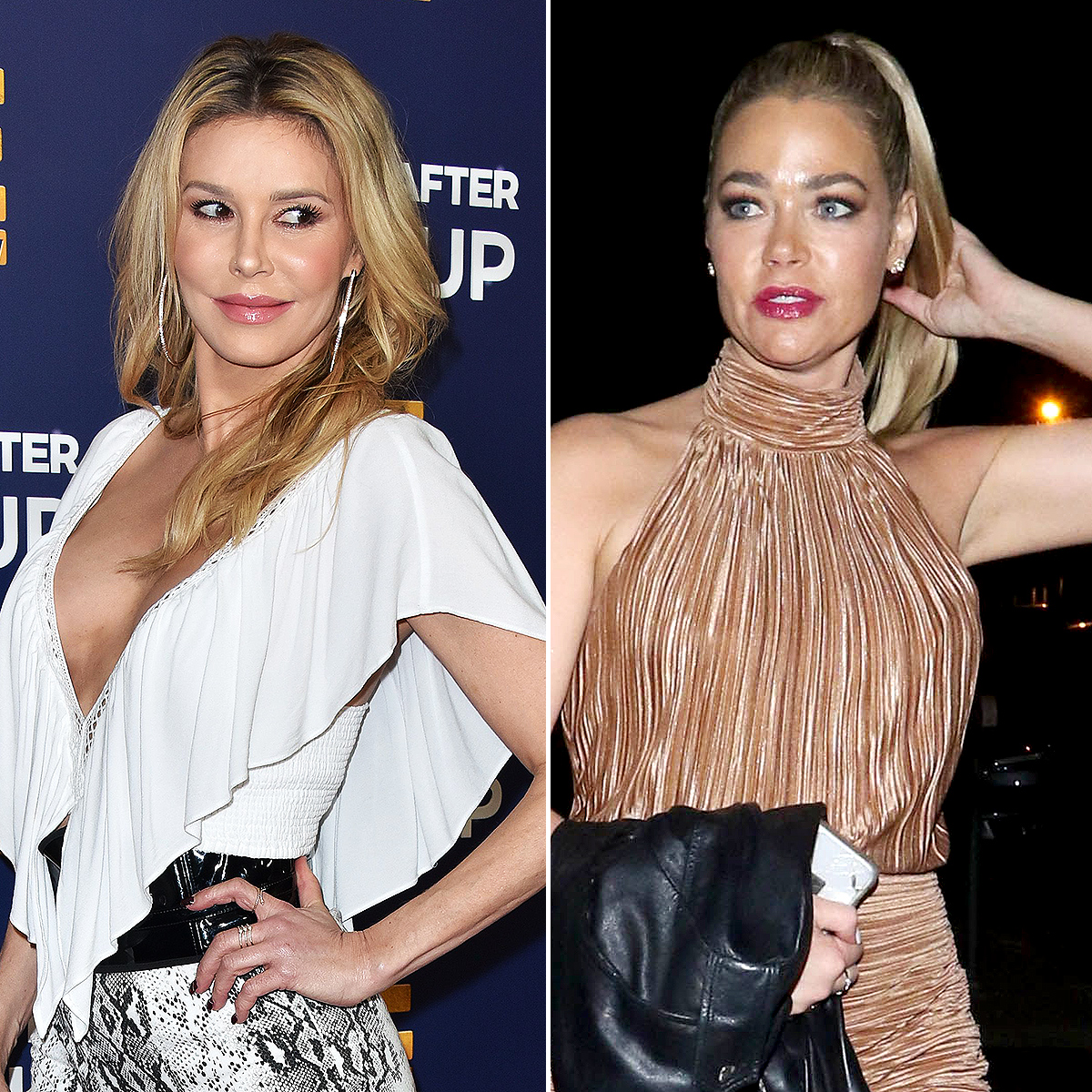 Brandi Glanville Has NSFW Response to Denise Richards Instagram 1