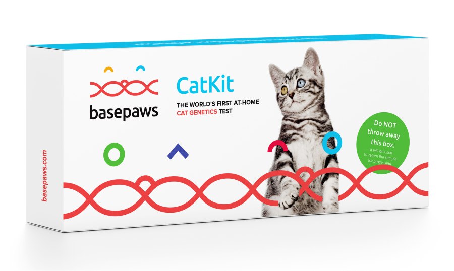 Basepaws Cat DNA Test Kit Buzzzz-o-Meter Stars Are Buzzing About This Rose