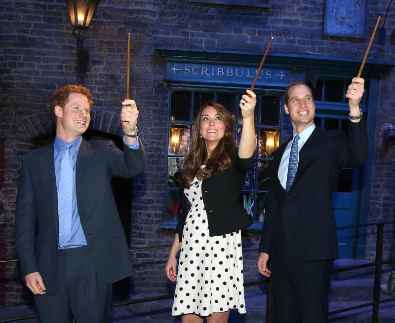 Celebrities Who Are Harry Potter Fans