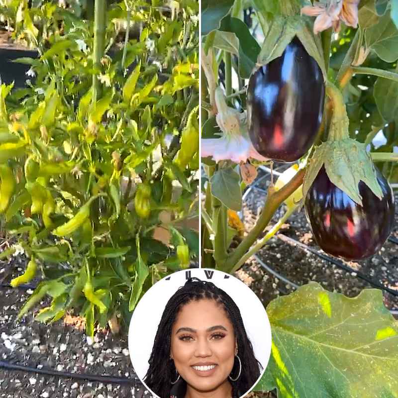 Celebrities Who Grow Their Own Food Ayesha Curry