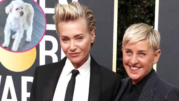 Ellen DeGeneres Portia de Rossi Say Goodbye Beloved Dog Wolf