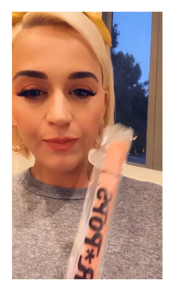 Everything Katy Perry Has Said About Her Pregnancy Cravings So Far Ice Pops