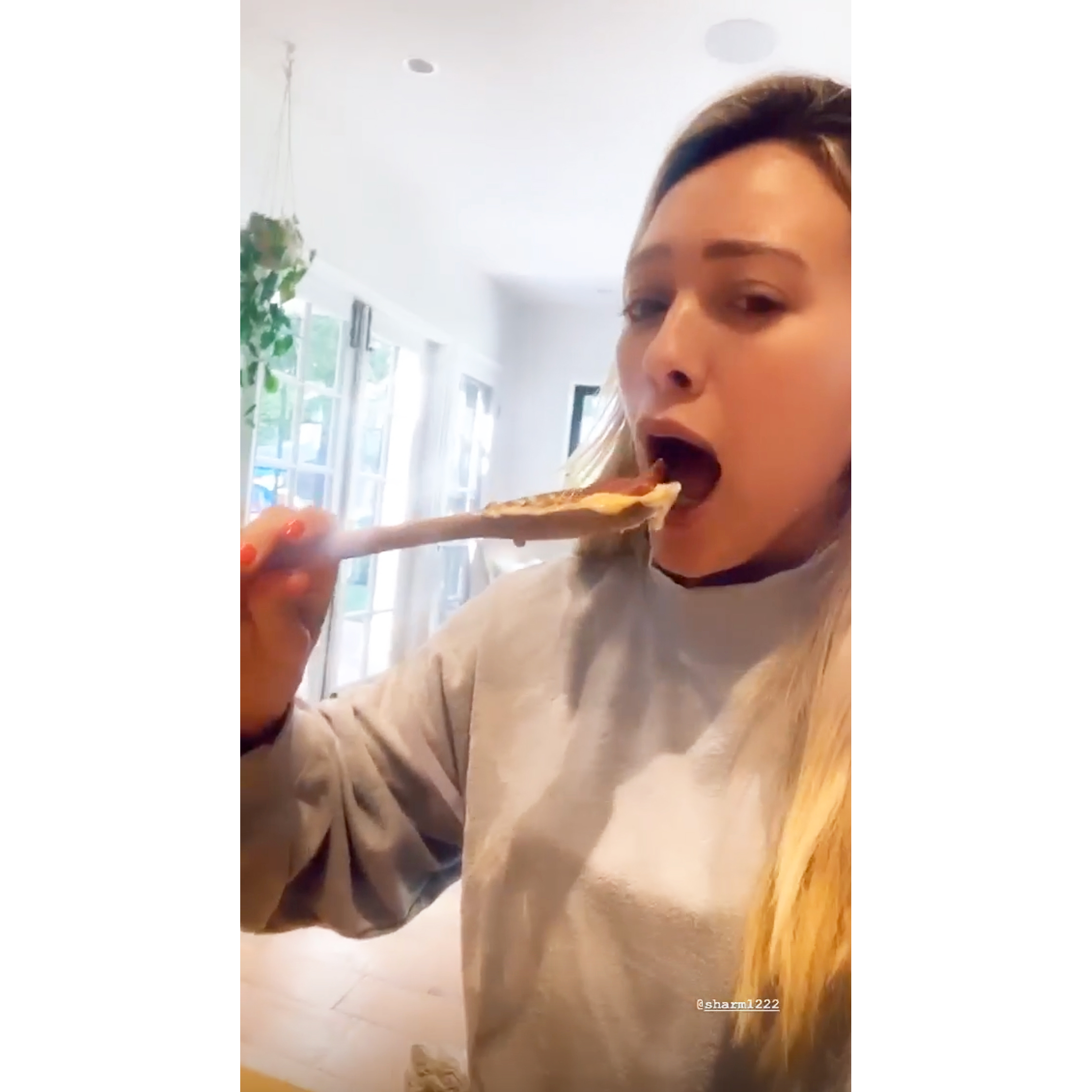 Hilary Duff Plays Disgusting Food Game on Instagram