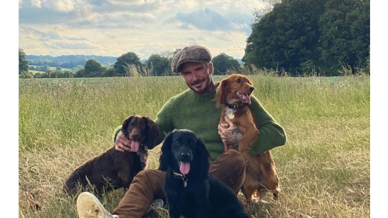 June 2020 Family Time Dogs David and Victoria Beckham Timeline Victoria Instagram