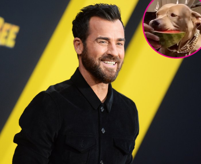 Justin Theroux Teaches His Dog Kuma How to Eat Watermelon p