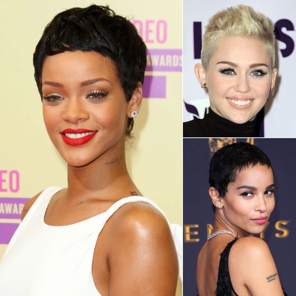 The Most Dramatic Celebrity Hair Changes of All Time: Pics