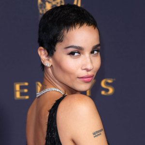 The Most Dramatic Celebrity Hair Changes of All Time: Pics