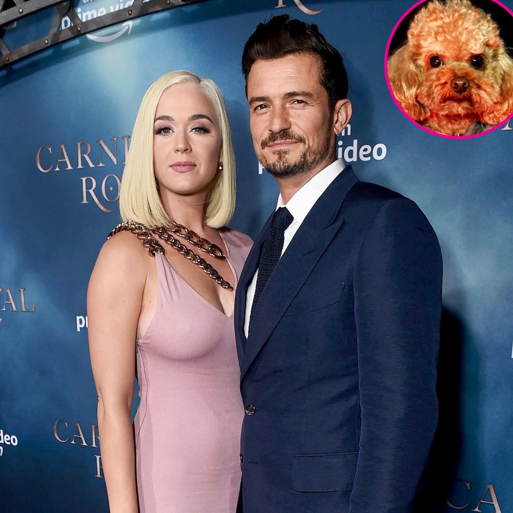 Orlando Bloom and Katy Perry Confirm His Dog Mighty Is Dead After 7-Day Search 1