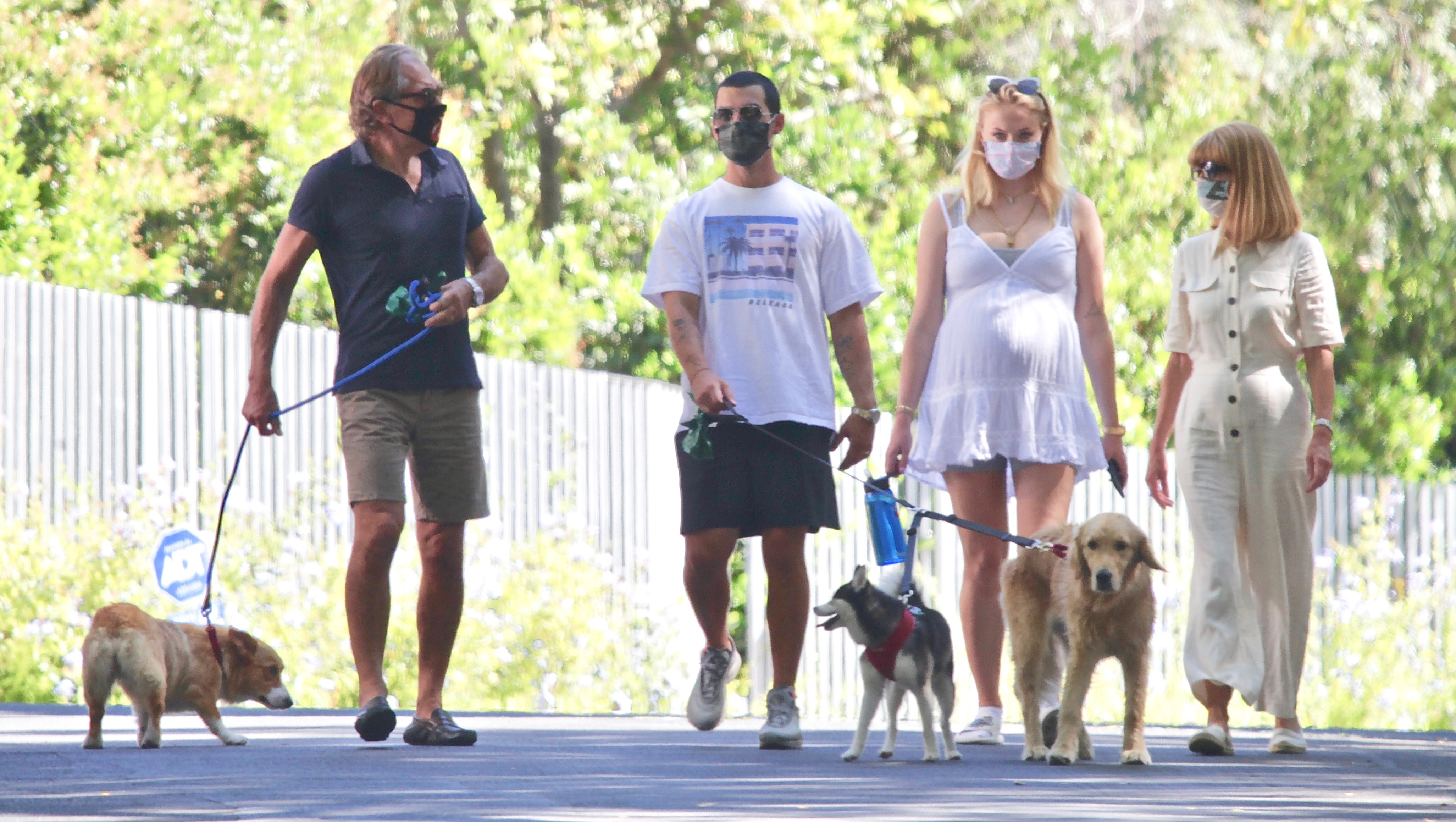 Joe Jonas & Sophie Turner Step Out to Walk Their Dogs Amid Quarantine:  Photo 4455059, Joe Jonas, Pregnant Celebrities, Sophie Turner Photos