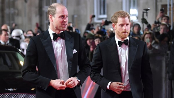 Prince Harry and Prince William Cannot Settle Rift Until In UK Together