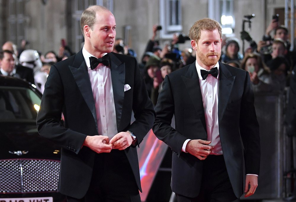 Prince Harry and Prince William Cannot Settle Rift Until In UK Together