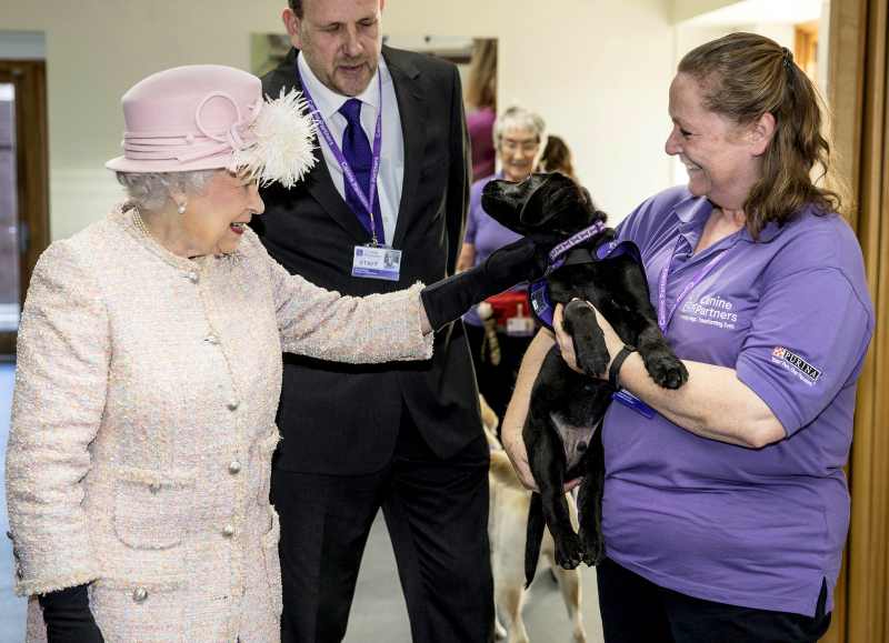 Queen Elizabeth II puppy