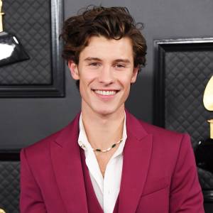 Shawn Mendes Gets a Tattoo Dedicated to Aaliyah Mendes: Pic