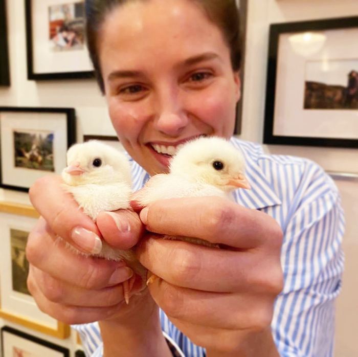 Sophia Bush Is Raising Chickens Amid the Coronavirus Quarantine and Names Them After Inspiring Women