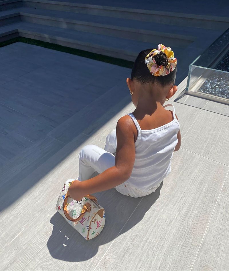 Stormi Webster Is the 'Coolest Baby' With Her Louis Vuitton Bag
