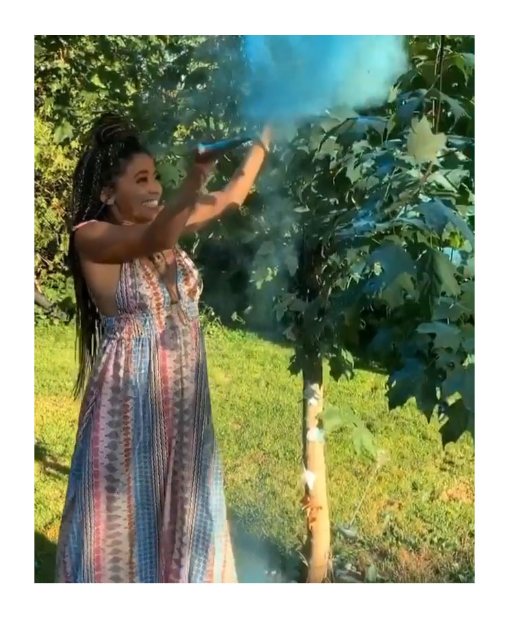 The Ultimate Compilation of Celebrity Moms' Mind-Blowing Gender Reveals: Unveiling the Most Creative and Memorable Moments