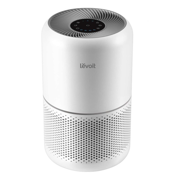 levoit air purifier best gifts for couples