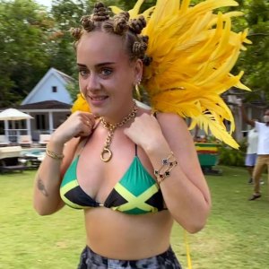 Fans Are Begging Adele to Delete Bantu Knots Photo