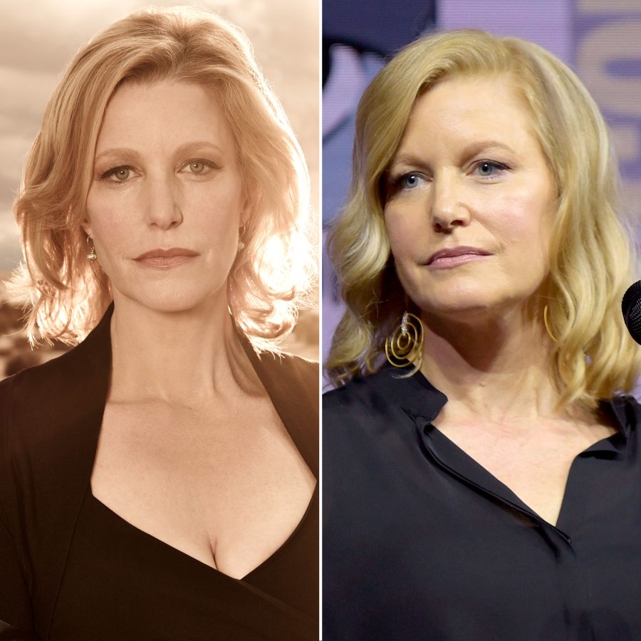 Anna Gunn Breaking Bad Where Are They Now