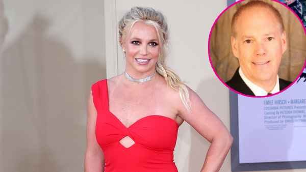 Britney Spears Laywer Andrew Wallet to Return as Co-Conservator