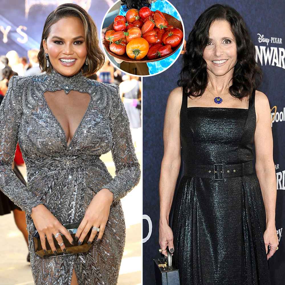 Chrissy Teigen Julia Louis-Dreyfus Stars Show Off Their Summer Eats