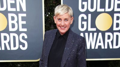 Ellen DeGeneres Celebrities React To Ellen DeGeneres Allegations