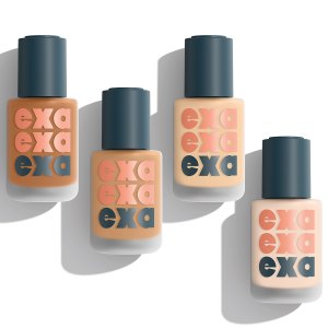 Exa High Fidelity Foundation Group