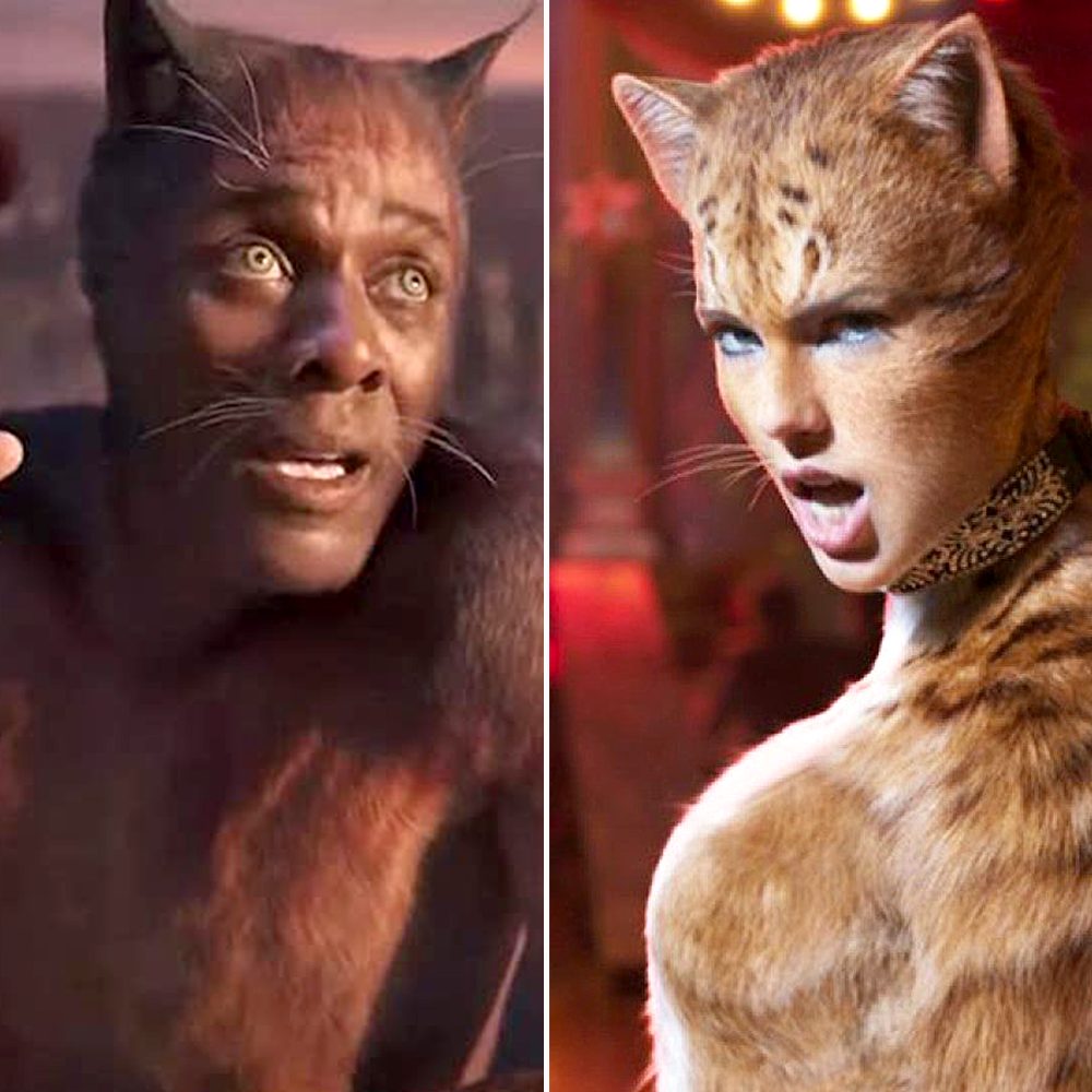 Idris Elba Taylor Swift Cats Labeled Ridiculous Play Composer
