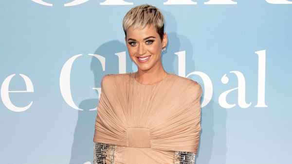 Katy Perry Poses in Nursing Bra and Postpartum Underwear
