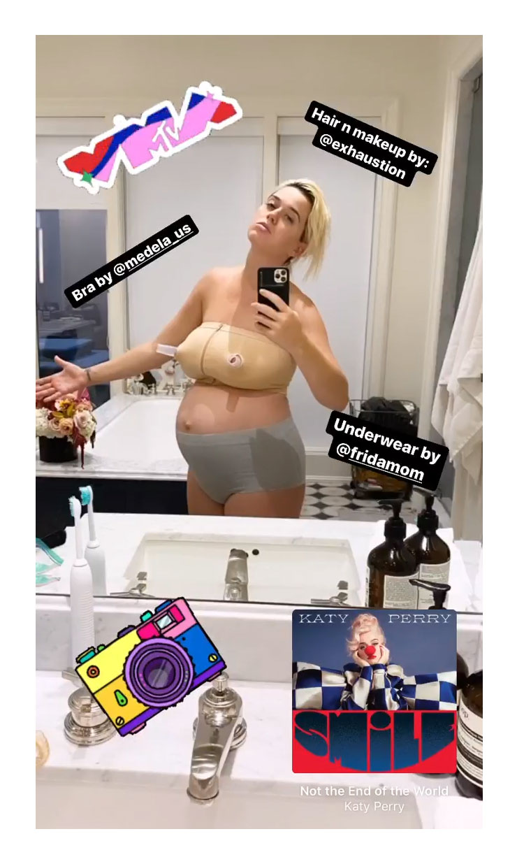 Katy Perry Poses in Nursing Bra and Postpartum Underwear Instagram