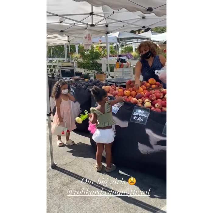 Khloe Kardashian Take Daughter True and Niece Dream to the Farmers Market to Buy Fruit, Flowers