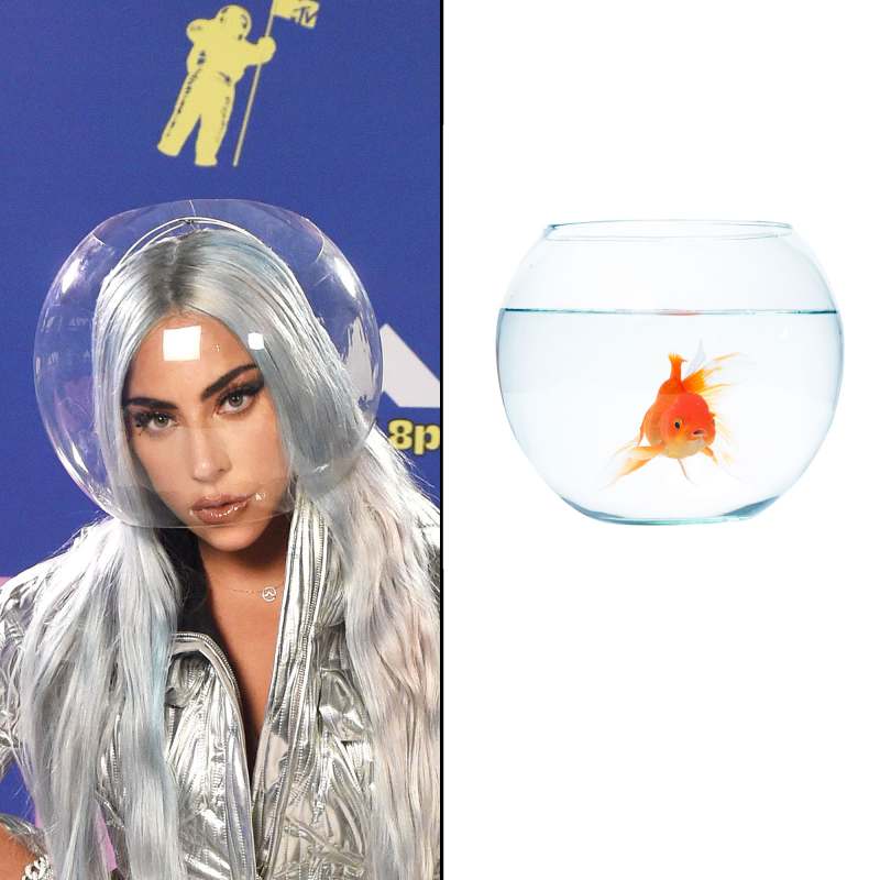 Lady Gaga Fans Are Comparing Her VMAs 2020 Face Mask to a Fish Bowl